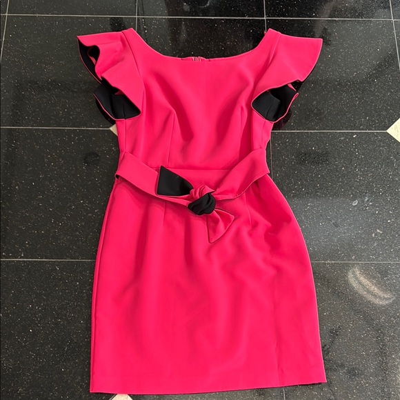 Milly Dresses & Skirts - Elegant Pink Dress with Black Accents